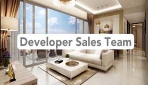 developer-sale-team.pg